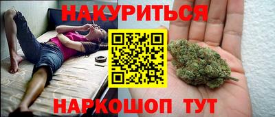 сатива Будённовск