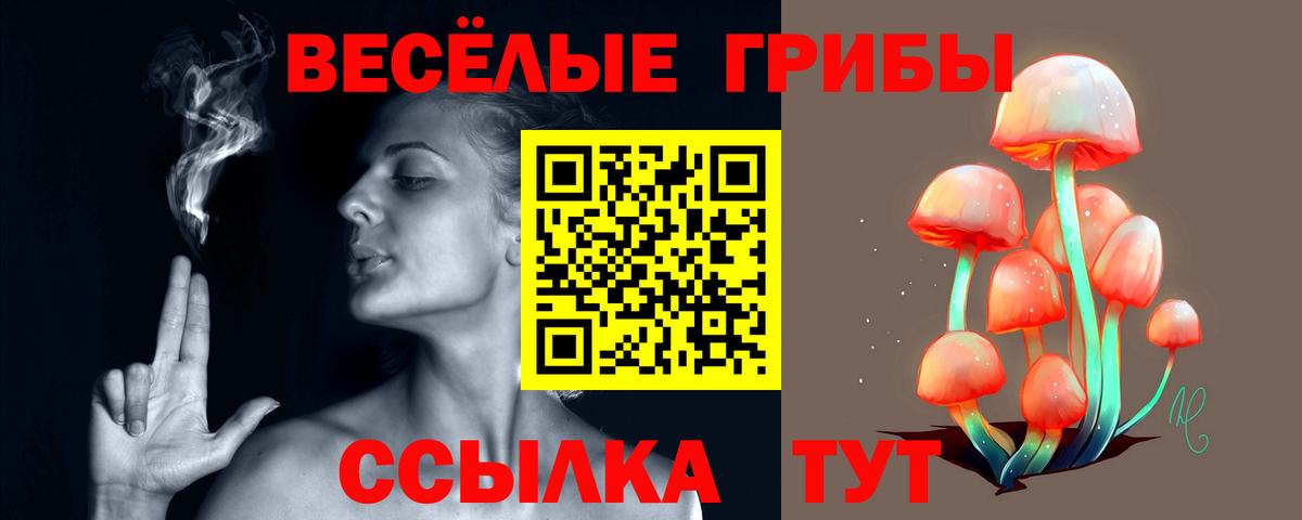 Псилоцибиновые грибы мицелий  Вход с VPN  Ленинск-Кузнецкий  Галлюциногенные грибы прущие грибы 