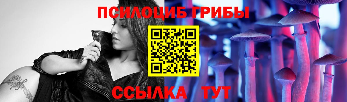 Псилоцибиновые грибы ЛСД Ленинск-Кузнецкий